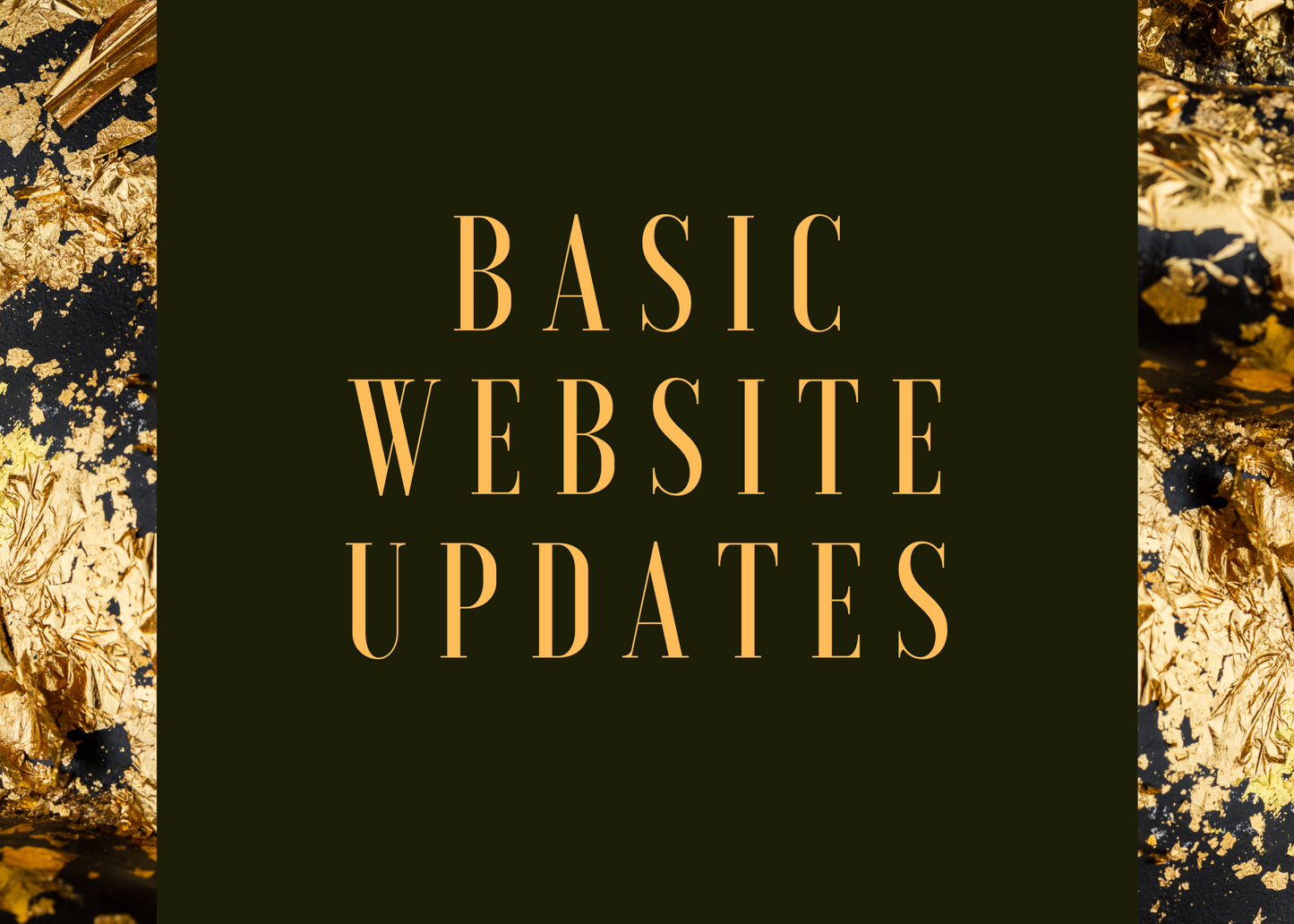 BASIC Website Updates