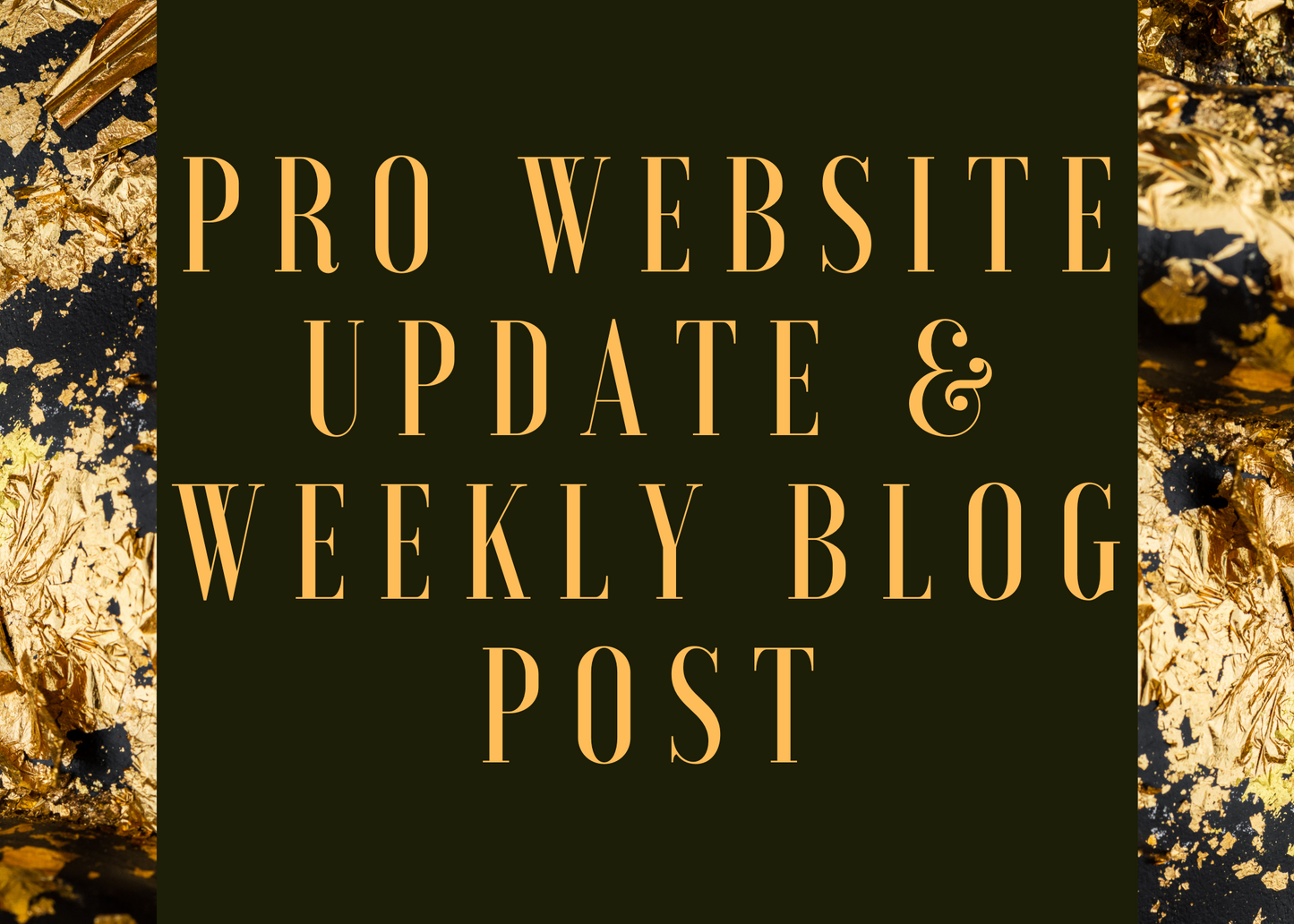 PRO Website Update & Weekly Blog Post