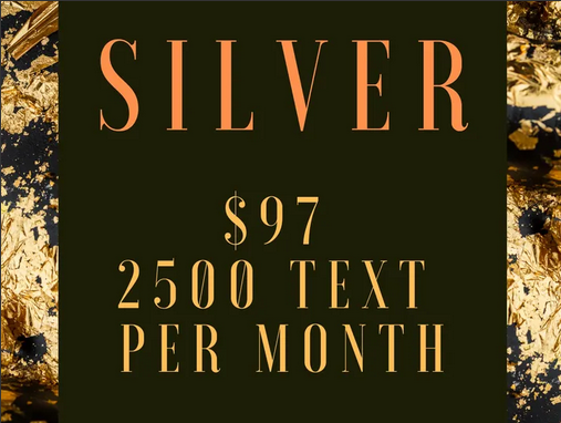Silver ~ 2500 text per month